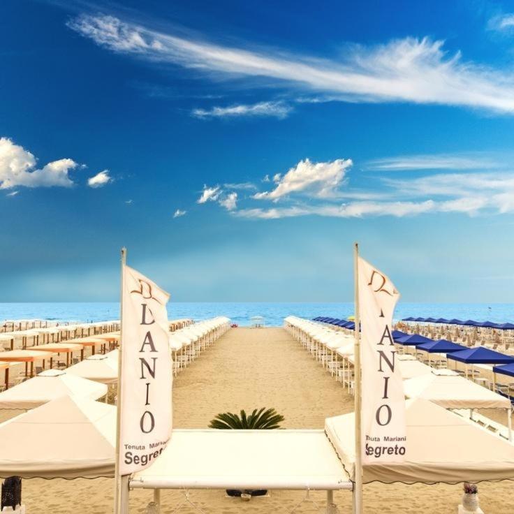 Danio Beach House 利多迪卡马约雷 外观 照片